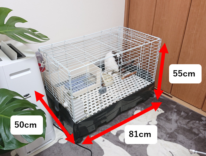 うさぎとの暮らし 間取りレイアウトはどんな感じ 戸建てでの注意点 のちぐらし